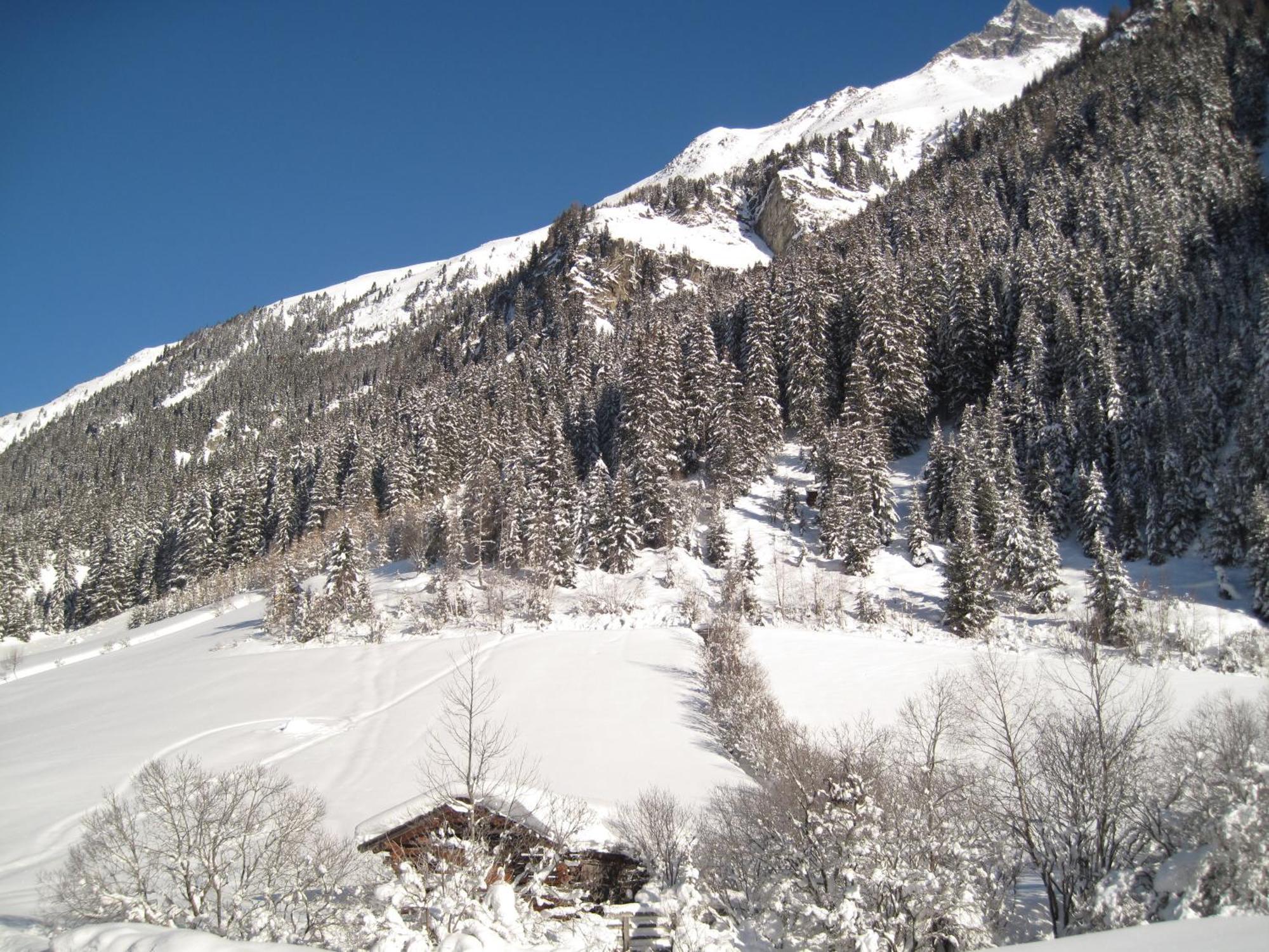 Alpina Appartement Sankt Leonhard im Pitztal Esterno foto