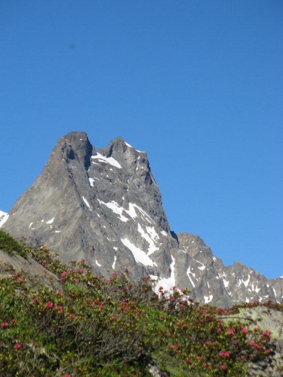 Alpina Appartement Sankt Leonhard im Pitztal Esterno foto
